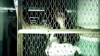 شرارتی brunette کے سکسی فلم پاکستانی ساتھ جنسی پاگل مقعد سوراخ ہو جاتا ہے بے رحمی