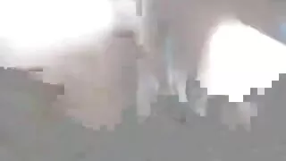 بھٹک استاد fucks سنہرے فلم سکس ازبکستانی بالوں والی لڑکی ایک Umemiya کتا پوزیشن میں